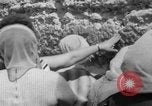 Immagine di Jewish Nuovo Anno al Muro Occidentale Gerusalemme Palestina, 1967, secondo 36 filmato di repertorio 65675043048