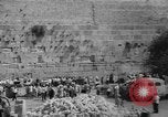 Immagine di Jewish Nuovo Anno al Muro Occidentale Gerusalemme Palestina, 1967, secondo 38 filmato di repertorio 65675043048