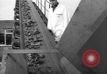Standbild Fragmentierung Anlage Vereinigtes Königreich, 1967, aus Sekunde 30 historischem Filmmaterial Videoclip 65675043050