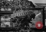 Standbild Fragmentierung Anlage Vereinigtes Königreich, 1967, aus Sekunde 46 historischem Filmmaterial Videoclip 65675043050