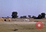 Standbild Indian Village Indien, 1956, aus Sekunde 6 historischem Filmmaterial Videoclip 65675043053