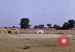 Standbild Indian Village Indien, 1956, aus Sekunde 8 historischem Filmmaterial Videoclip 65675043053