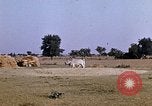 Standbild Indian Village Indien, 1956, aus Sekunde 9 historischem Filmmaterial Videoclip 65675043053