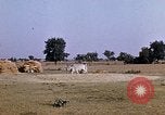 Standbild Indian Village Indien, 1956, aus Sekunde 10 historischem Filmmaterial Videoclip 65675043053