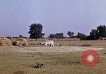 Standbild Indian Village Indien, 1956, aus Sekunde 11 historischem Filmmaterial Videoclip 65675043053