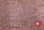 Standbild Indian Village Indien, 1956, aus Sekunde 12 historischem Filmmaterial Videoclip 65675043053