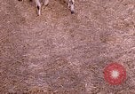 Standbild Indian Village Indien, 1956, aus Sekunde 13 historischem Filmmaterial Videoclip 65675043053