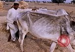 Standbild Indian Village Indien, 1956, aus Sekunde 18 historischem Filmmaterial Videoclip 65675043053