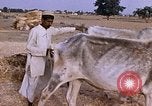 Standbild Indian Village Indien, 1956, aus Sekunde 19 historischem Filmmaterial Videoclip 65675043053