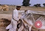 Standbild Indian Village Indien, 1956, aus Sekunde 20 historischem Filmmaterial Videoclip 65675043053