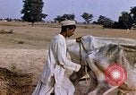 Standbild Indian Village Indien, 1956, aus Sekunde 22 historischem Filmmaterial Videoclip 65675043053