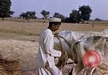 Standbild Indian Village Indien, 1956, aus Sekunde 23 historischem Filmmaterial Videoclip 65675043053