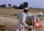 Standbild Indian Village Indien, 1956, aus Sekunde 24 historischem Filmmaterial Videoclip 65675043053