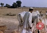 Standbild Indian Village Indien, 1956, aus Sekunde 25 historischem Filmmaterial Videoclip 65675043053