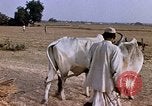 Standbild Indian Village Indien, 1956, aus Sekunde 26 historischem Filmmaterial Videoclip 65675043053