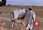 Standbild Indian Village Indien, 1956, aus Sekunde 27 historischem Filmmaterial Videoclip 65675043053