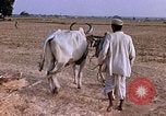 Standbild Indian Village Indien, 1956, aus Sekunde 28 historischem Filmmaterial Videoclip 65675043053