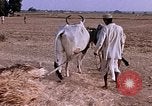 Standbild Indian Village Indien, 1956, aus Sekunde 29 historischem Filmmaterial Videoclip 65675043053