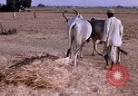 Standbild Indian Village Indien, 1956, aus Sekunde 30 historischem Filmmaterial Videoclip 65675043053