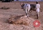 Standbild Indian Village Indien, 1956, aus Sekunde 31 historischem Filmmaterial Videoclip 65675043053