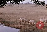 Standbild Indian Village Indien, 1956, aus Sekunde 55 historischem Filmmaterial Videoclip 65675043053