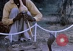 Standbild Snake Charmer Indien, 1956, aus Sekunde 7 historischem Filmmaterial Videoclip 65675043054
