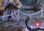 Standbild Snake Charmer Indien, 1956, aus Sekunde 8 historischem Filmmaterial Videoclip 65675043054