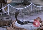 Standbild Snake Charmer Indien, 1956, aus Sekunde 10 historischem Filmmaterial Videoclip 65675043054