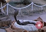 Standbild Snake Charmer Indien, 1956, aus Sekunde 11 historischem Filmmaterial Videoclip 65675043054