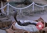 Standbild Snake Charmer Indien, 1956, aus Sekunde 13 historischem Filmmaterial Videoclip 65675043054