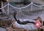 Standbild Snake Charmer Indien, 1956, aus Sekunde 14 historischem Filmmaterial Videoclip 65675043054