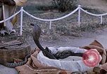 Standbild Snake Charmer Indien, 1956, aus Sekunde 15 historischem Filmmaterial Videoclip 65675043054
