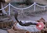 Standbild Snake Charmer Indien, 1956, aus Sekunde 16 historischem Filmmaterial Videoclip 65675043054