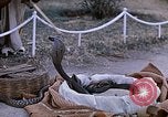 Standbild Snake Charmer Indien, 1956, aus Sekunde 17 historischem Filmmaterial Videoclip 65675043054