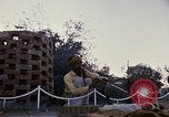 Standbild Snake Charmer Indien, 1956, aus Sekunde 29 historischem Filmmaterial Videoclip 65675043054
