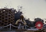 Standbild Snake Charmer Indien, 1956, aus Sekunde 30 historischem Filmmaterial Videoclip 65675043054