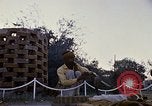 Standbild Snake Charmer Indien, 1956, aus Sekunde 31 historischem Filmmaterial Videoclip 65675043054
