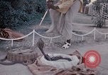 Standbild Snake Charmer Indien, 1956, aus Sekunde 39 historischem Filmmaterial Videoclip 65675043054