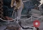 Standbild Snake Charmer Indien, 1956, aus Sekunde 41 historischem Filmmaterial Videoclip 65675043054