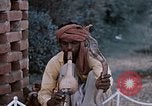 Standbild Snake Charmer Indien, 1956, aus Sekunde 55 historischem Filmmaterial Videoclip 65675043054