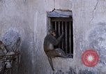Standbild Swayambhunath Kathmandu Hill in den 1960er Jahren Kathmandu Nepal, 1969, aus Sekunde 8 historischem Filmmaterial Videoclip 65675043059