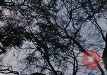 Standbild Rote Wand fort Delhi Indien, 1970, aus Sekunde 35 historischem Filmmaterial Videoclip 65675043068