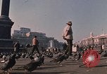 Image Trafalgar Square London England Royaume-Uni, 1970, de la seconde 43 séquences d'archives historiques vidéo 65675043081