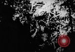 Standbild Viet Cong Soldaten Vietnam, 1967, aus Sekunde 24 historischem Filmmaterial Videoclip 65675043129