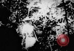 Standbild Viet Cong Soldaten Vietnam, 1967, aus Sekunde 25 historischem Filmmaterial Videoclip 65675043129