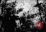 Standbild Viet Cong Soldaten Vietnam, 1967, aus Sekunde 26 historischem Filmmaterial Videoclip 65675043129