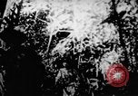 Standbild Viet Cong Soldaten Vietnam, 1967, aus Sekunde 27 historischem Filmmaterial Videoclip 65675043129