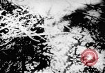 Standbild Viet Cong Soldaten Vietnam, 1967, aus Sekunde 29 historischem Filmmaterial Videoclip 65675043129