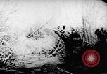 Standbild Viet Cong Soldaten Vietnam, 1967, aus Sekunde 37 historischem Filmmaterial Videoclip 65675043129