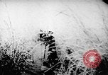Standbild Viet Cong Soldaten Vietnam, 1967, aus Sekunde 50 historischem Filmmaterial Videoclip 65675043129